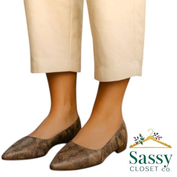 Essex Lane Shoes - Essex Lane Snake Print Pointed Toe Flats Neutral Women’s 6 NWOT